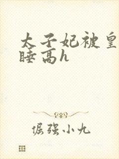 太子妃被皇上强睡高h