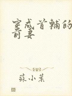 穿成首辅的炮灰前妻