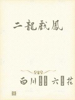 二龙戏凤