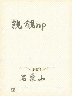 觊觎np