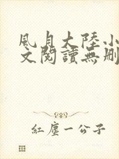 风月大陆小说全文阅读无删减