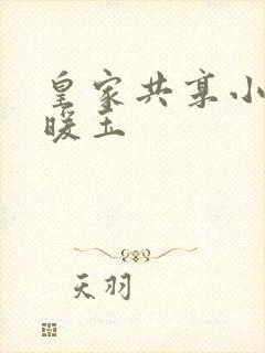 皇家共享小公主暖玉