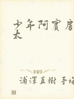 少年阿宾房东太太