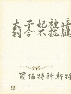 太子妃被暗卫C到合不拢腿