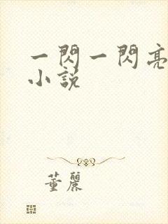 一闪一闪亮星星小说