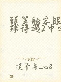 头等舱客服的特殊待遇2中字