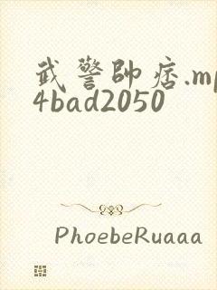 武警帅痞.mp4bad2050