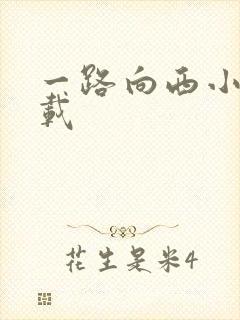 一路向西小说下载