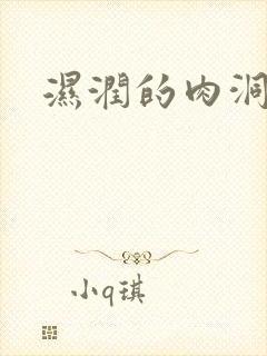 湿润的肉洞