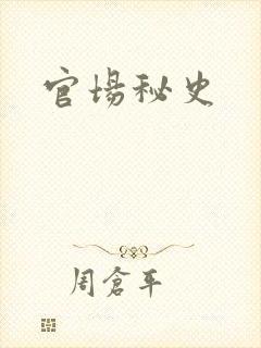 官场秘史
