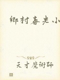 乡村春光小说