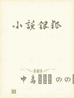 小说银狐