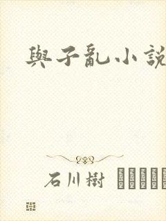 与子乱小说
