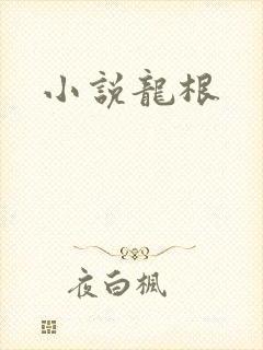 小说龙根