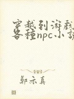 穿越到游戏里和各种npc小说