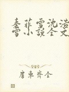 秦菲雪沈浩秦菲雪小说全文免费阅读求书