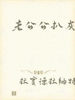 老公公扒灰小说