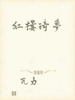 红楼琦梦