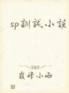 sp训诫小说