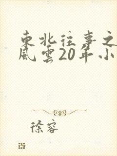 东北往事之黑道风云20年小说