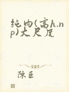 纯肉(高h.np)大尺度