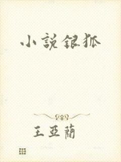 小说银狐