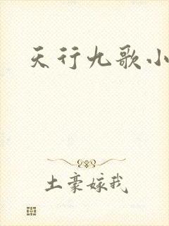 天行九歌小说