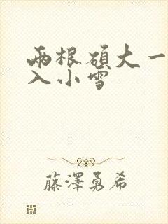 两根硕大一起挤入小雪