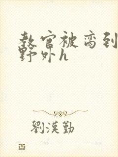 教官被脔到高潮野外h