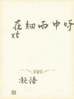 在细雨中呼喊txt