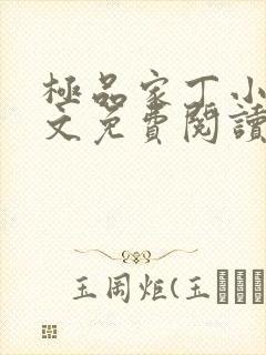 极品家丁小说全文免费阅读