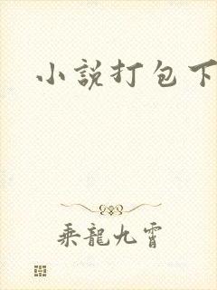 小说打包下载