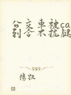 公交车被cao到合不拢腿视频