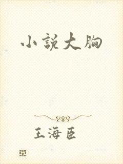 小说大胸