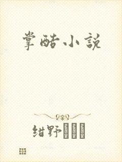 掌酷小说
