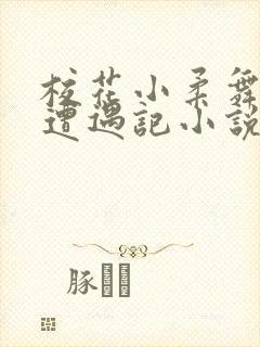 校花小柔舞蹈室遭遇记小说