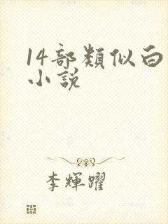 14部类似白洁小说