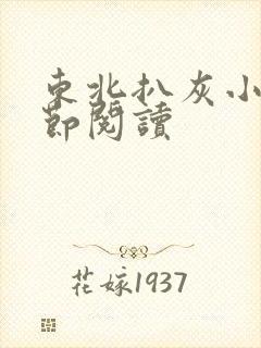 东北扒灰小说分节阅读