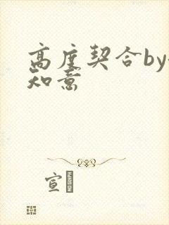 高度契合by洛知意