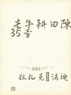 老牛耕田陈雪435章