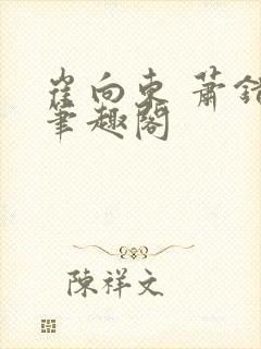 崔向东 萧错 笔趣阁