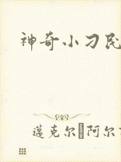 神奇小刁民