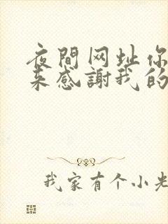 夜间网址你会回来感谢我的