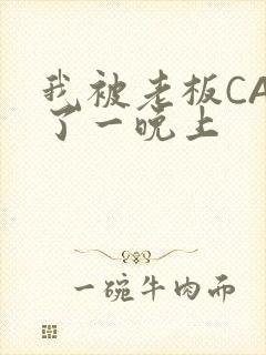 我被老板CAO了一晚上