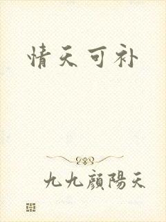 情天可补