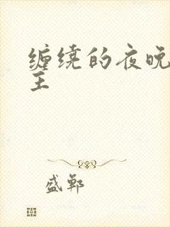 缠绕的夜晚双男主