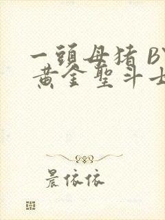 一头母猪 BY 黄金圣斗士