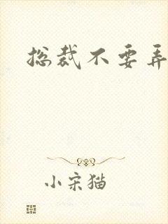 总裁不要弄疼我