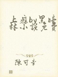 上瘾by黑暗森林小说免费