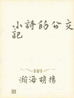 小诗的公交车日记